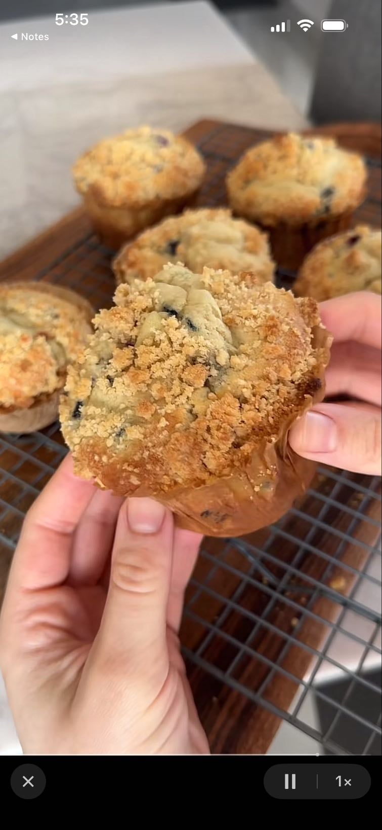 bakery style blueberry muffins
