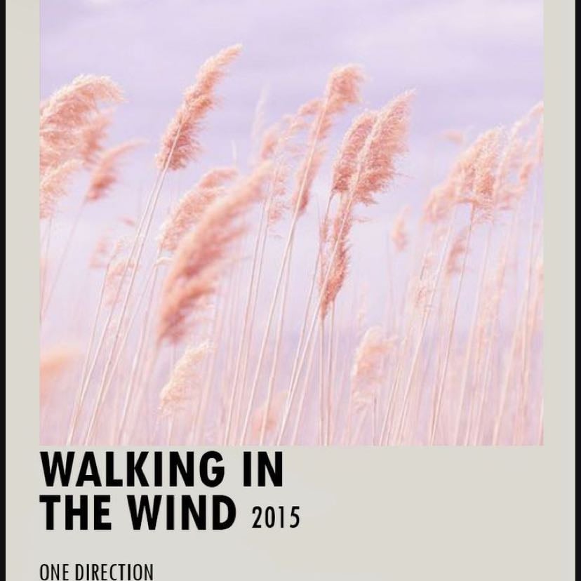 Walking in the wind