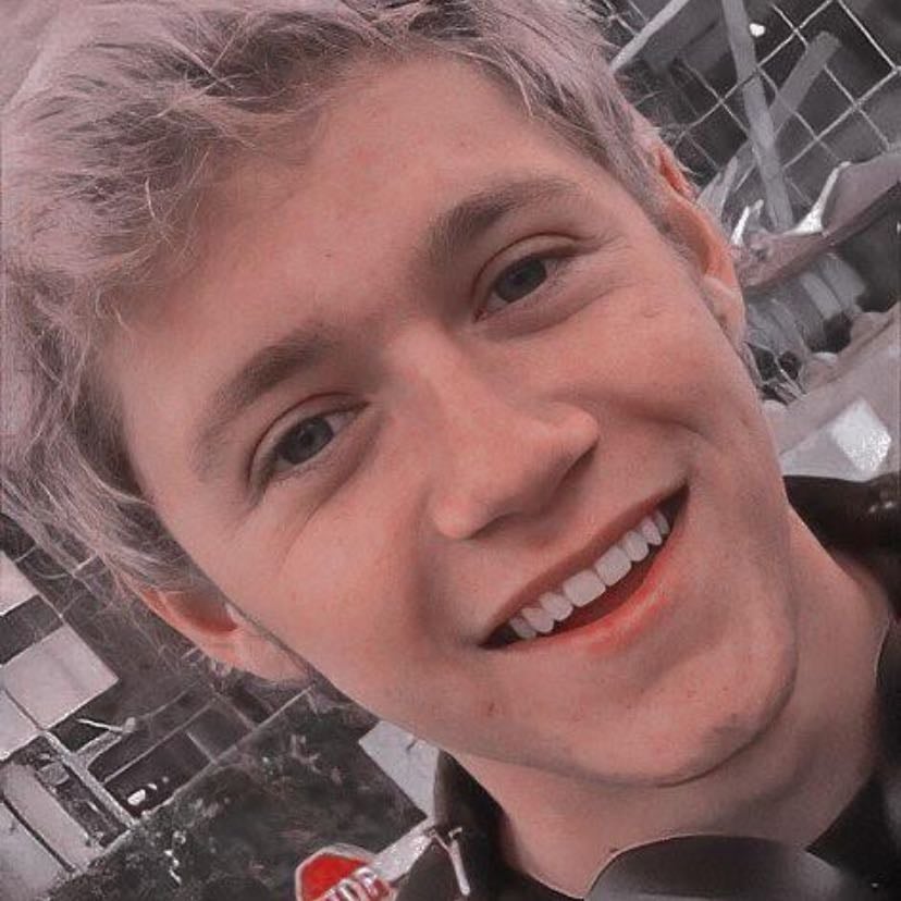 NIALLER - Hes so sweet and funny which all the boys are but since I was little he had always stood out to me he is 30 but in my eyes still 19 and I love him so much it’s honestly difficult to explain hes also really sassy and reminds me of myself.