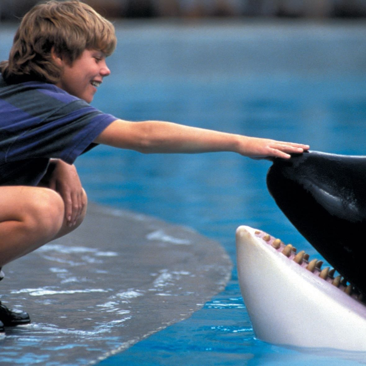 Free Willy