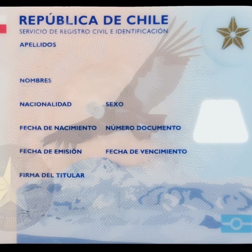 carné - el nuevo