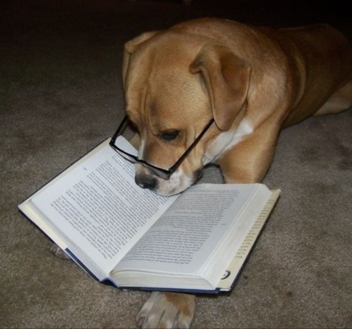 libros