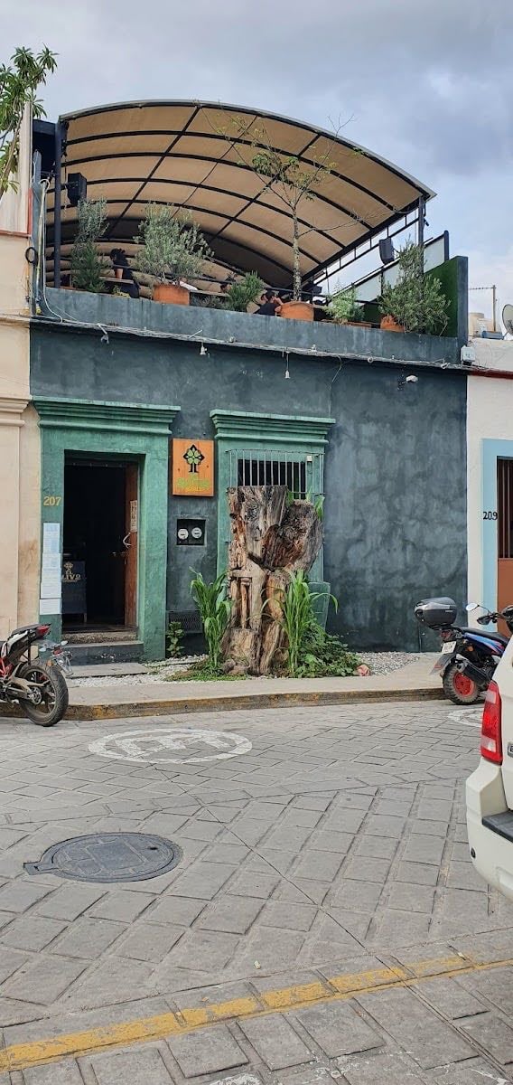 El Olivo Gastrobar