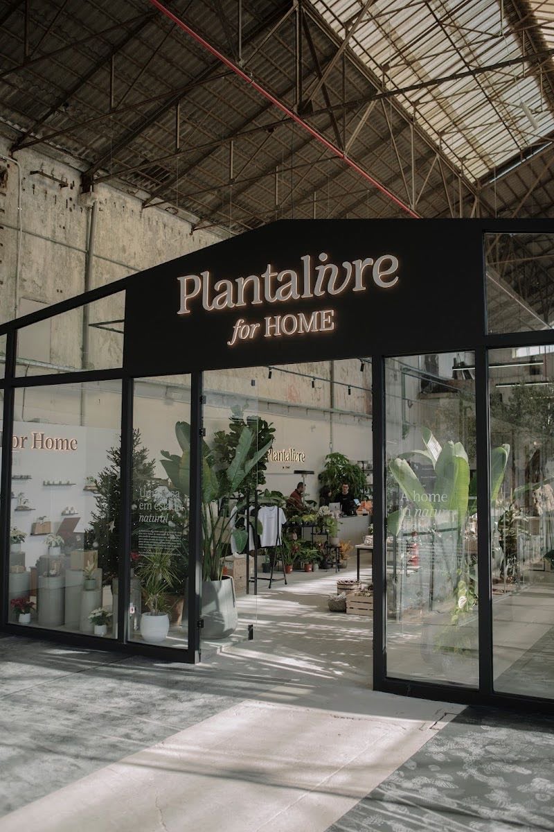 Planta Livre for Home