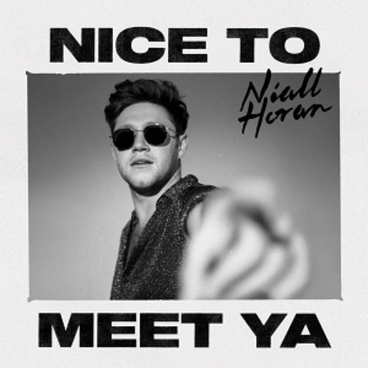 Nice To Meet Ya - Song · Niall Horan