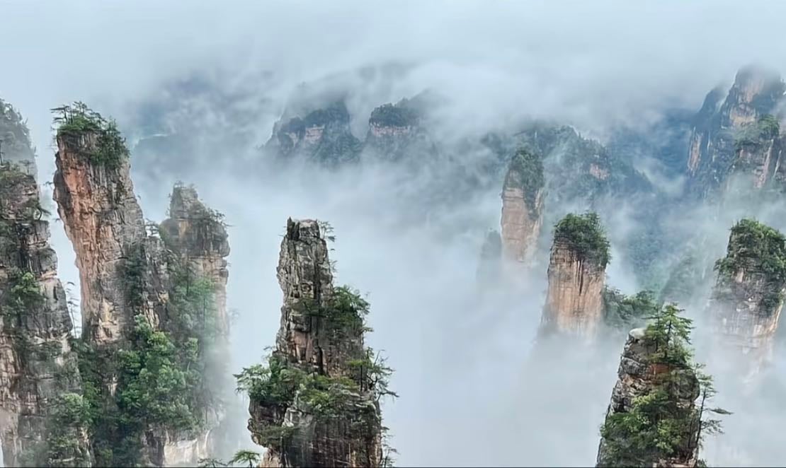 Chine