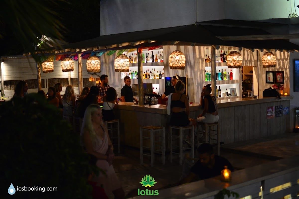 Lotus Cocktail Bar