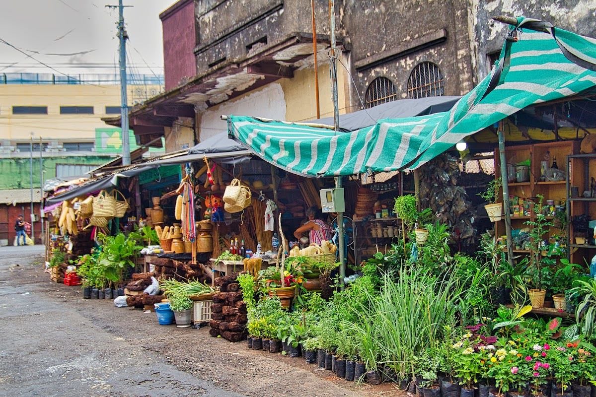 Mercado 4