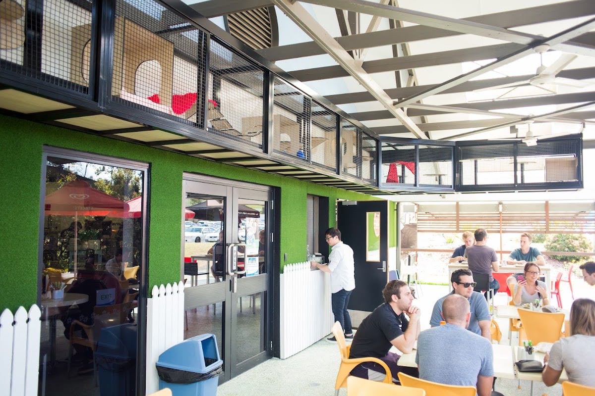 RSPCA Black Cat Café