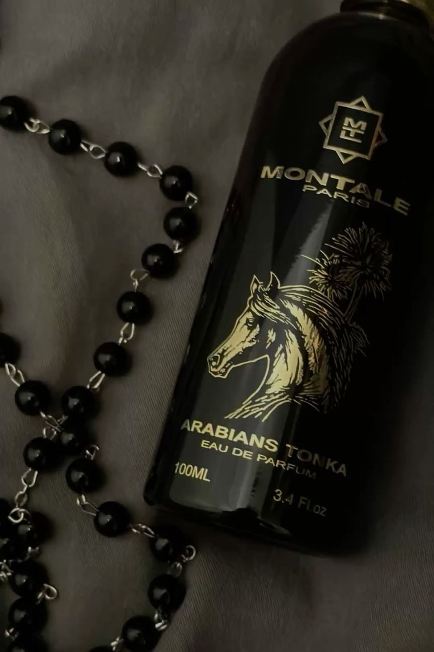 montale- arabians tonka
