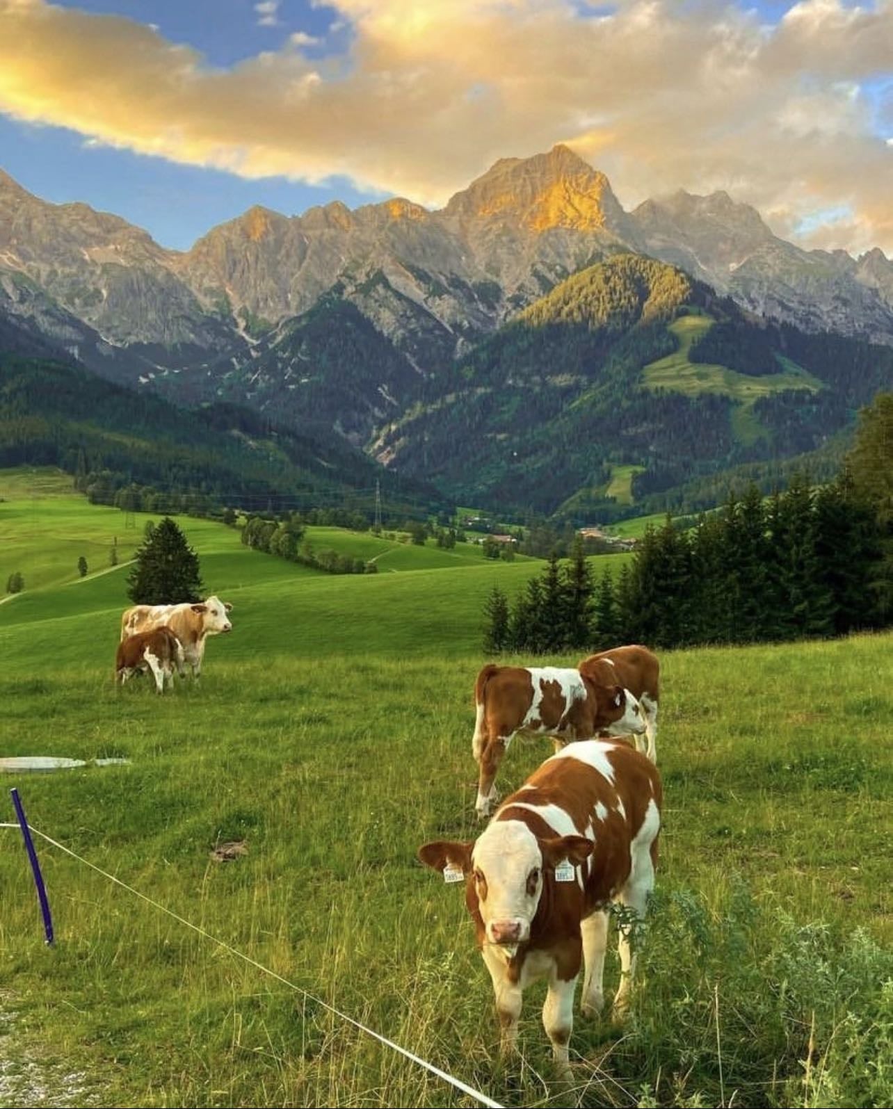 Austria