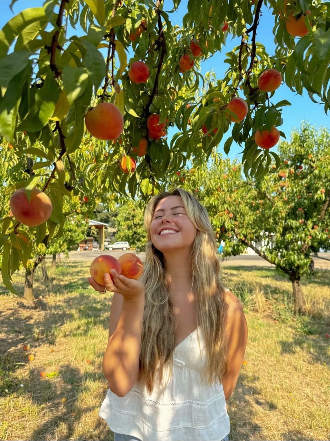 fruits - ⋆˚꩜。