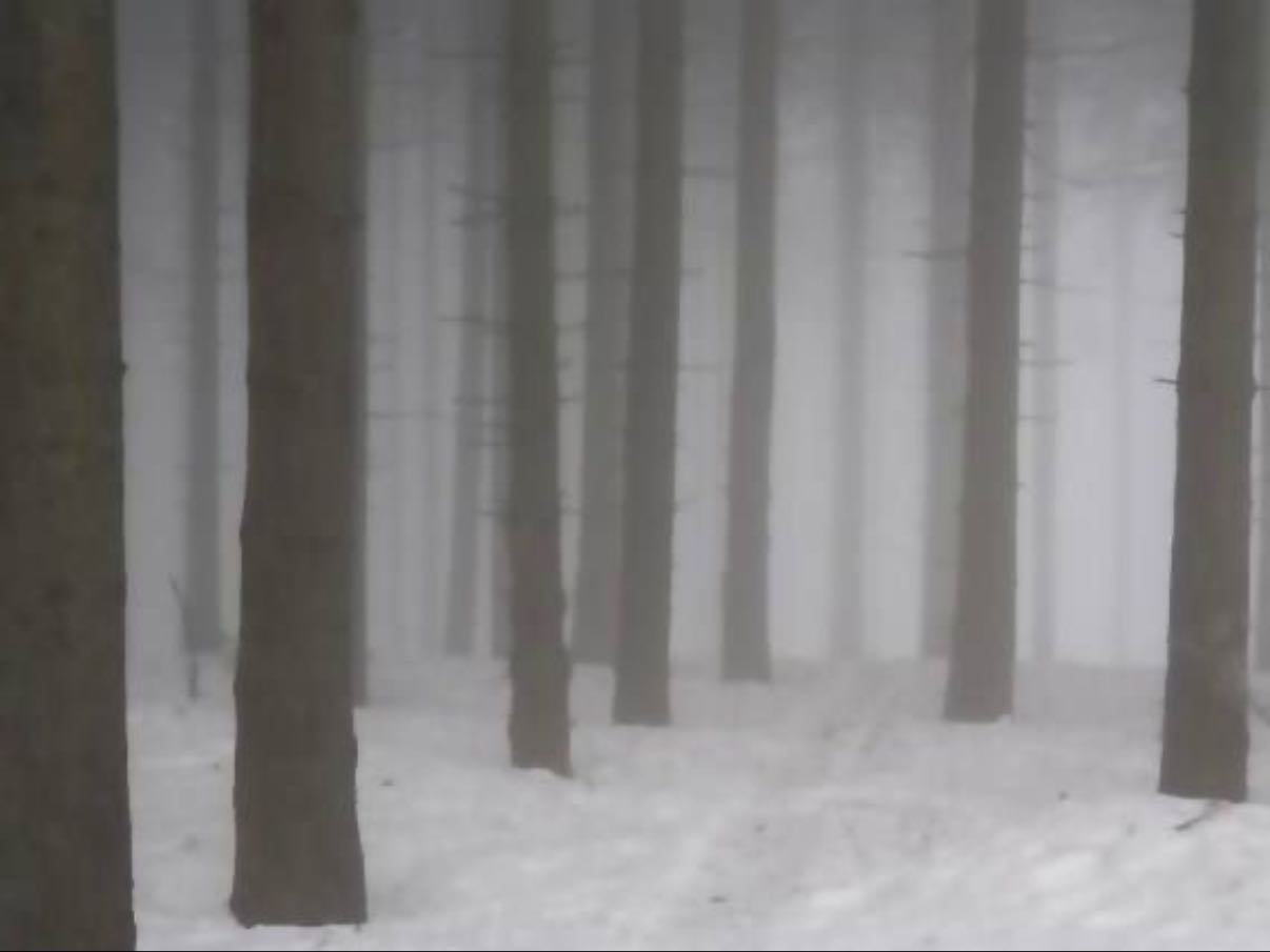 “it’s like trying to start a fire with matches in the snow” - vampire empire - big thief