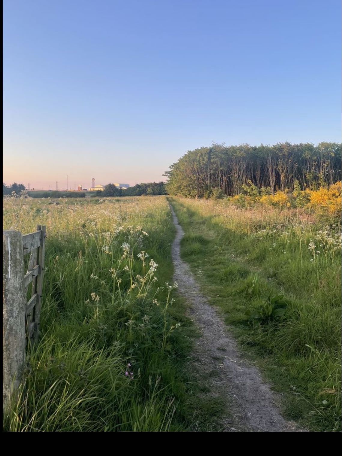 walking