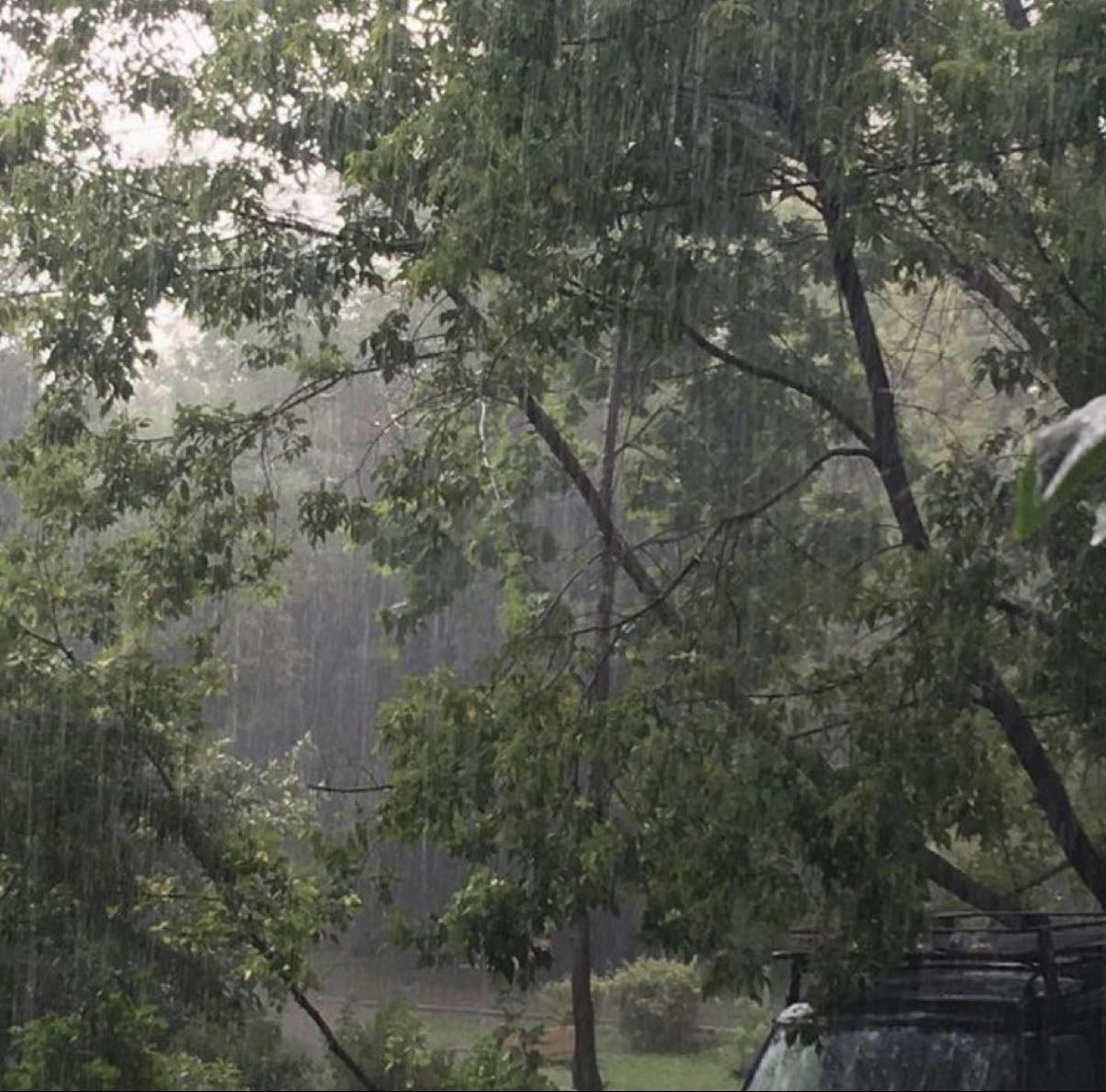 rain