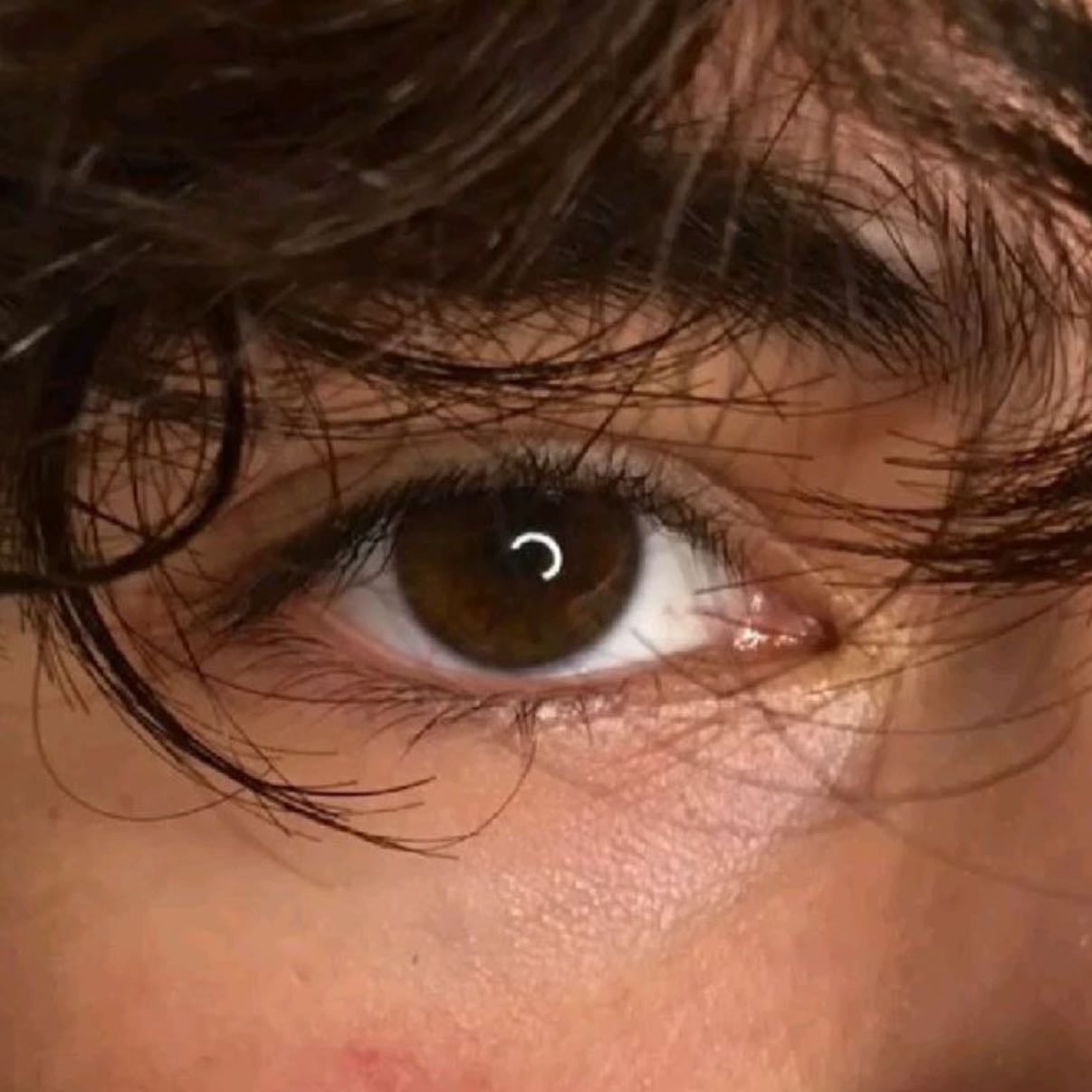 brown eyes - πβ.Λ
