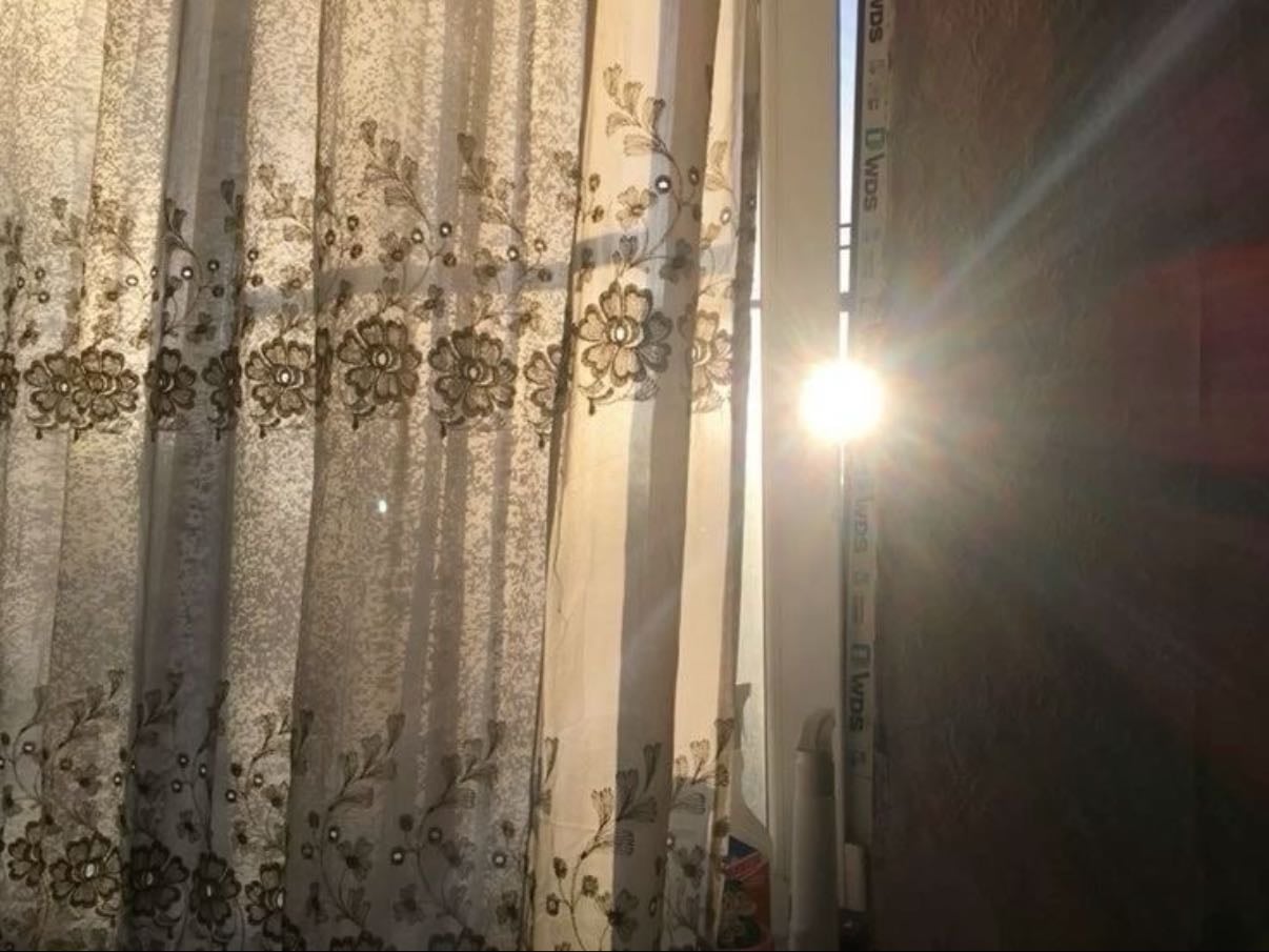 stare out the window