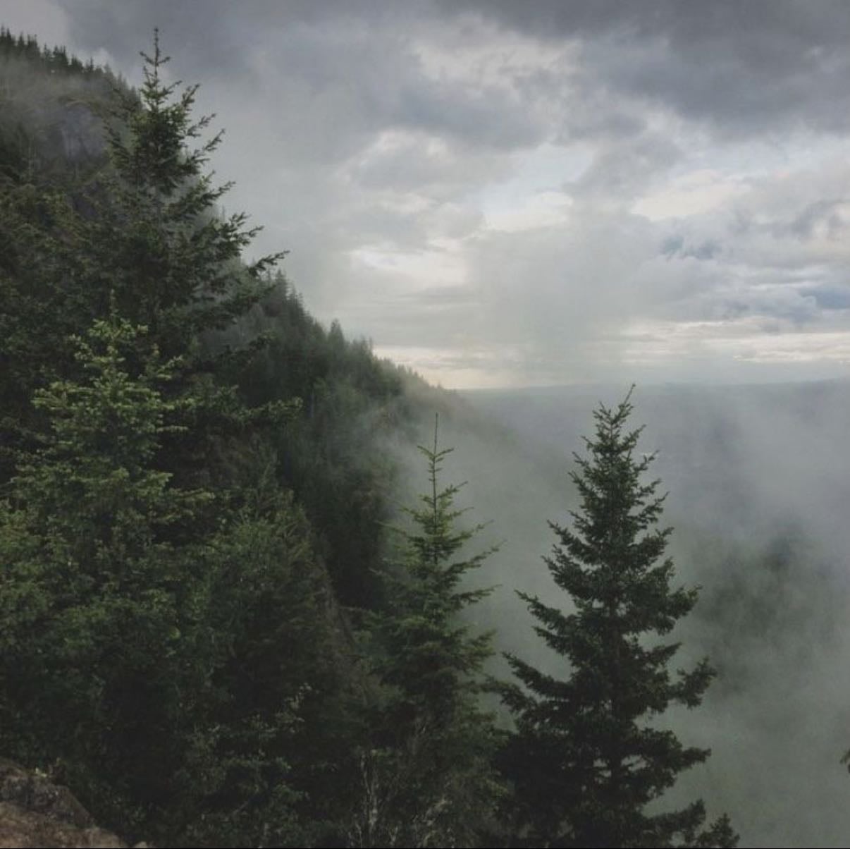 roslyn - bon iver, s.t vincent