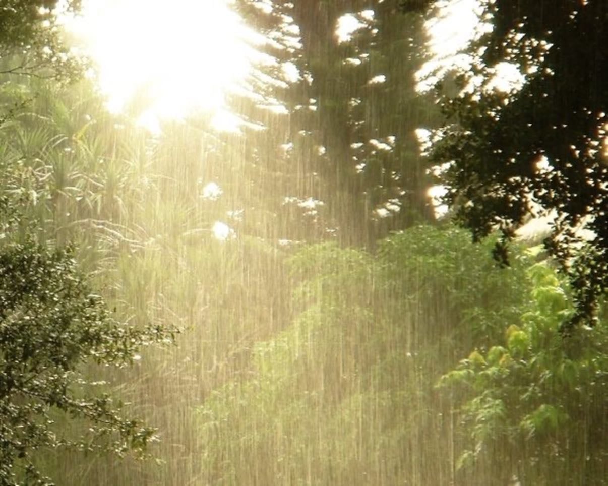 rainy days