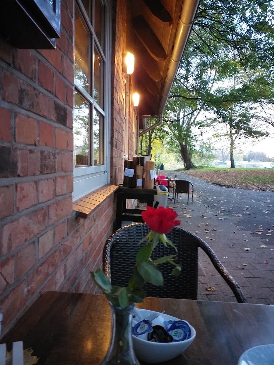 Café Knoops Park