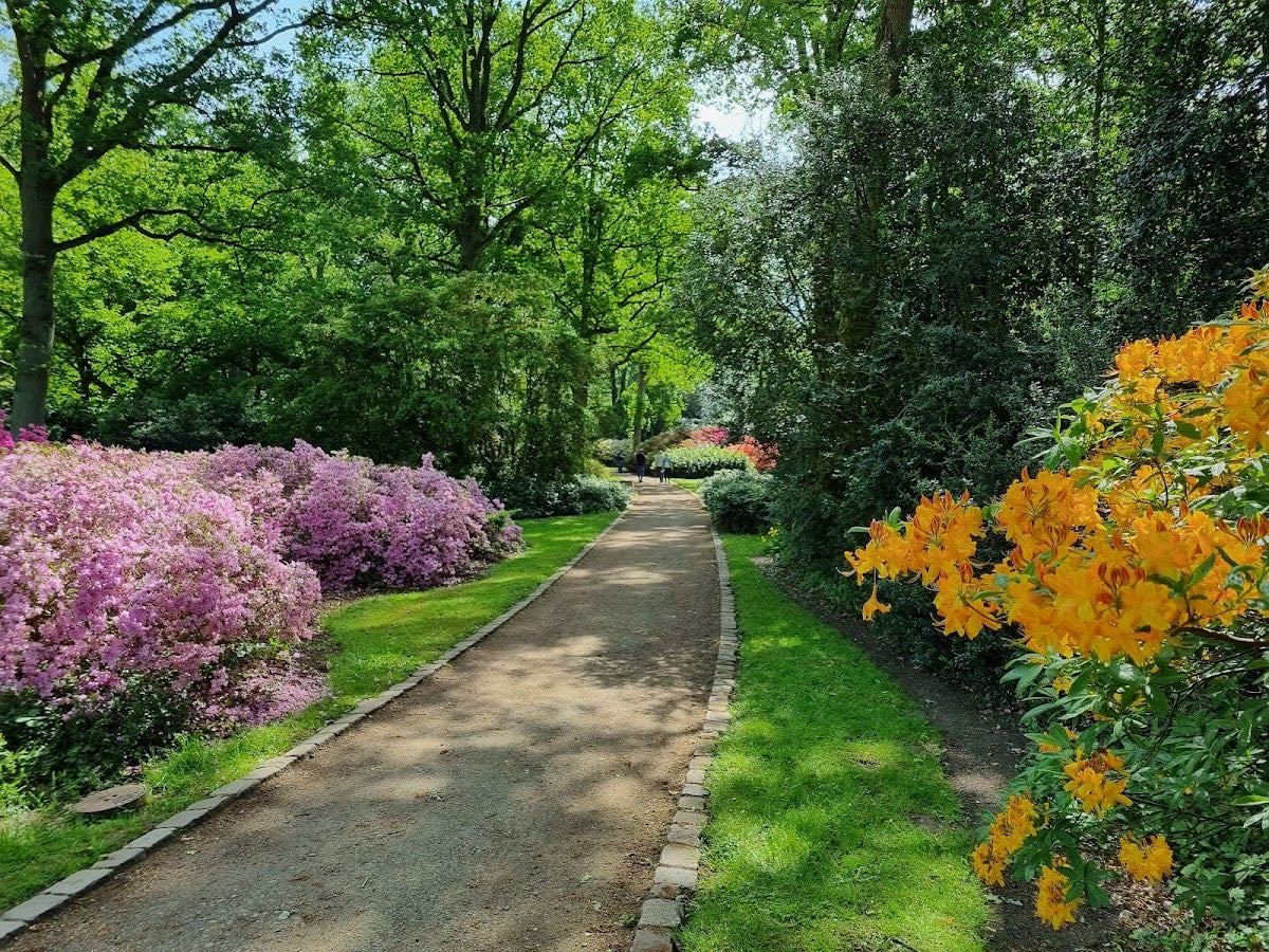 Rhododendron-Park