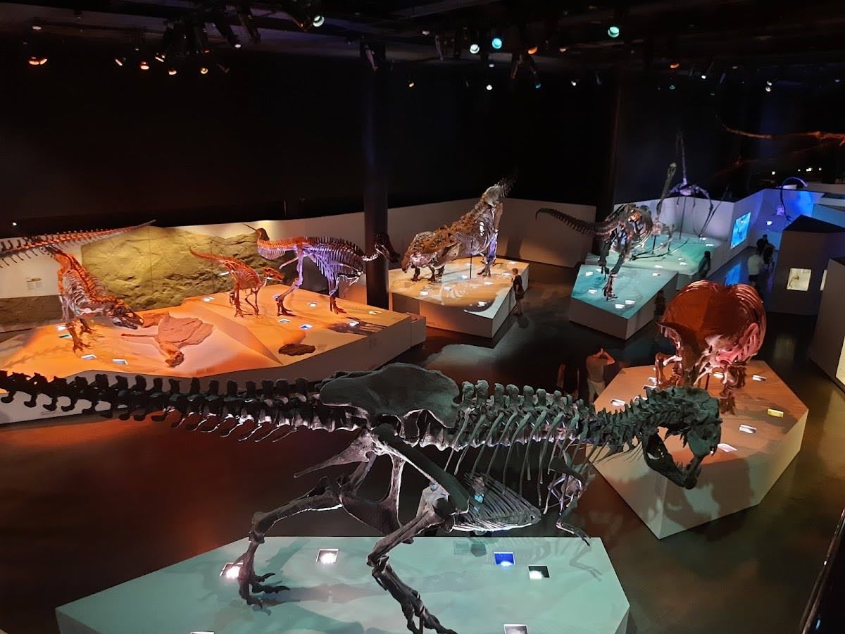 Houston Museum of Natural Science - Open 9am - 5pm