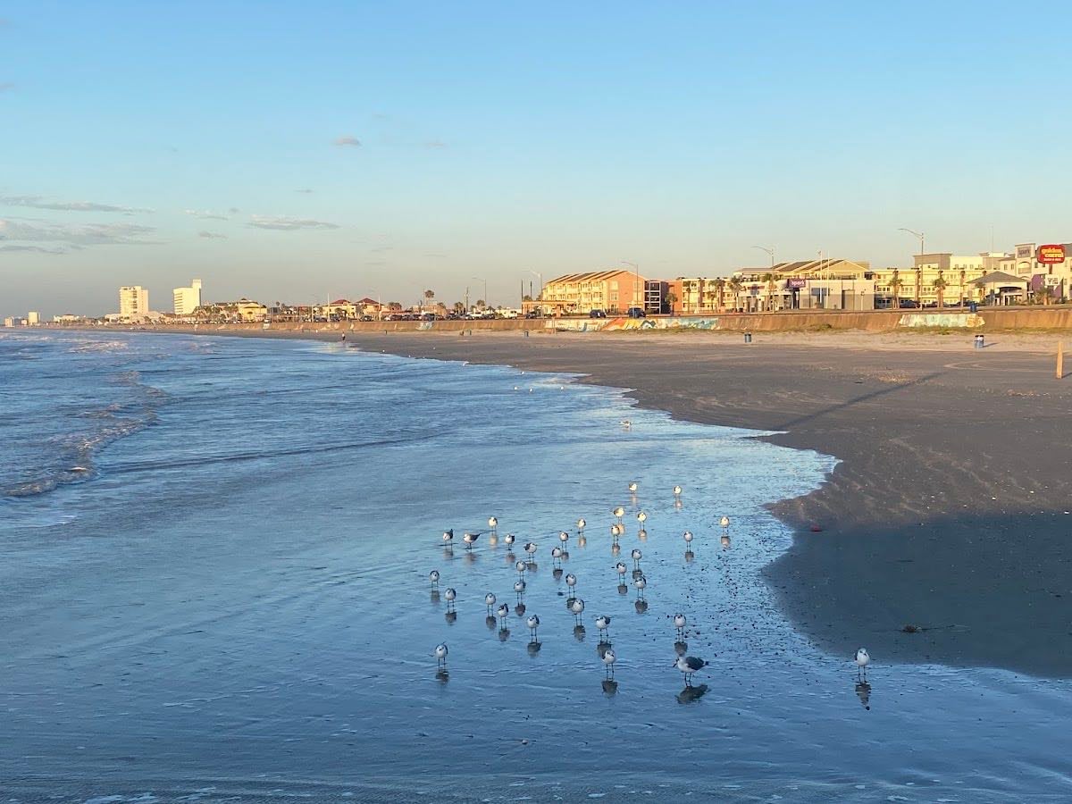 Galveston Beach - At night ❤️🩹
