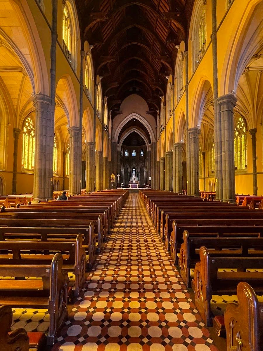 St Patrick's Cathedral - Just to sit and look