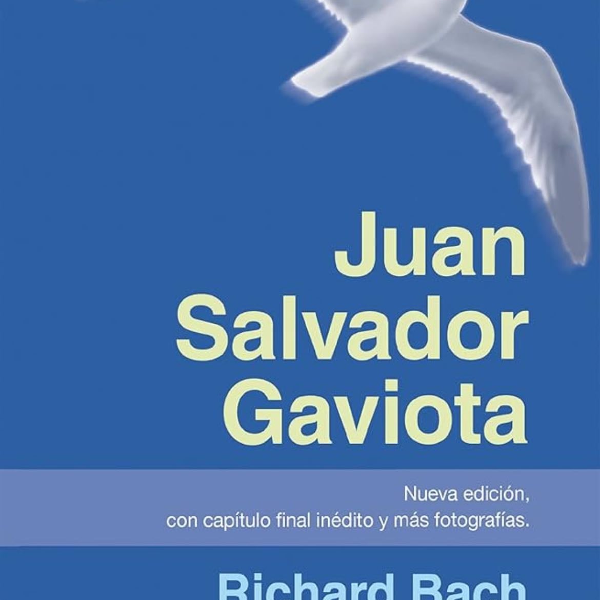 Juan Salvador Gaviota