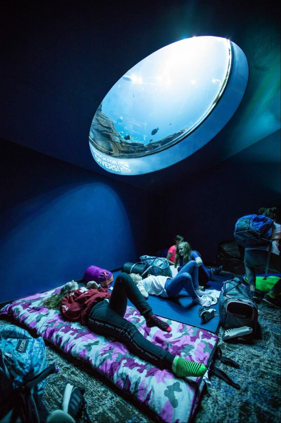 Georgia Aquarium - sleepover with the sharks!