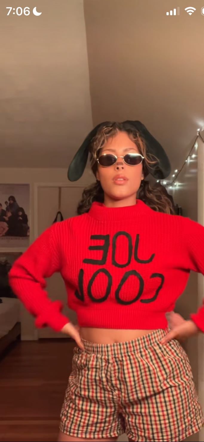 joe cool + charlie brown or woodstock - @jaidaokayy on tiktok
