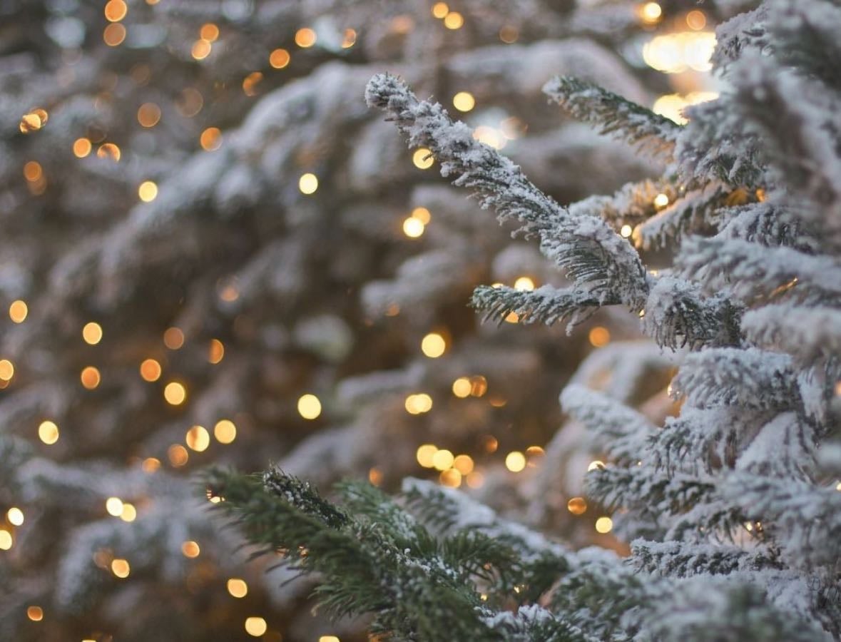 Christmas Movies✨🎄 - Movies hypelist by Lu