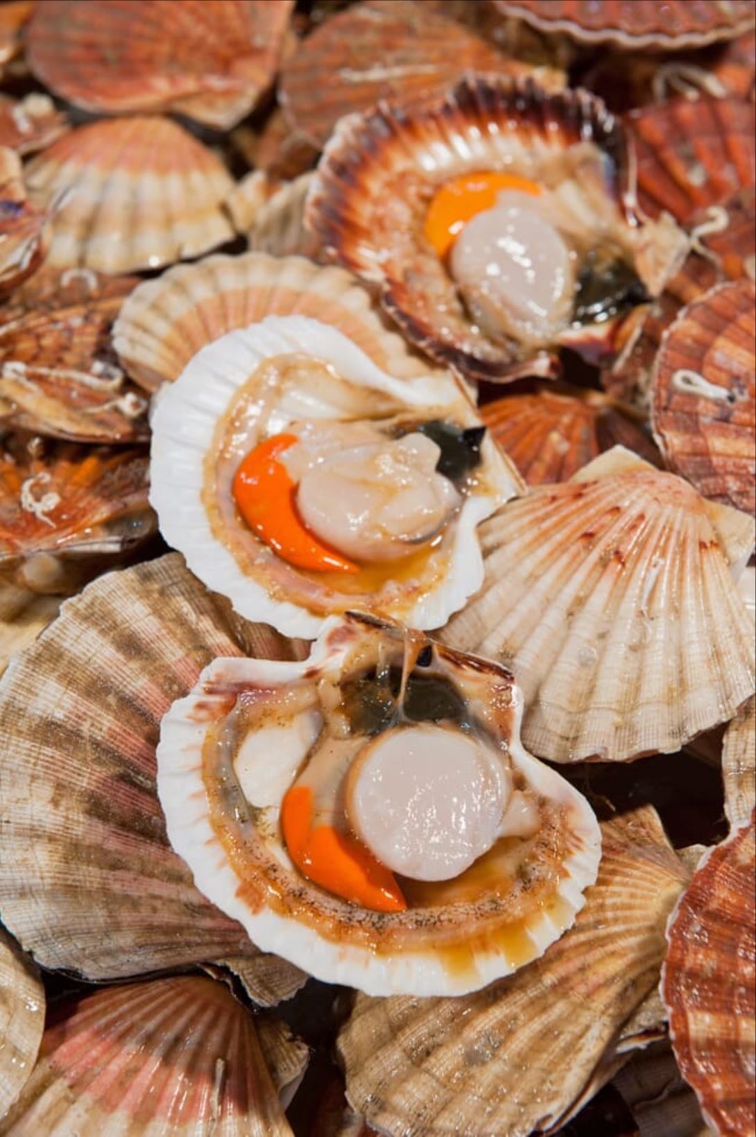 Hotate Scallops