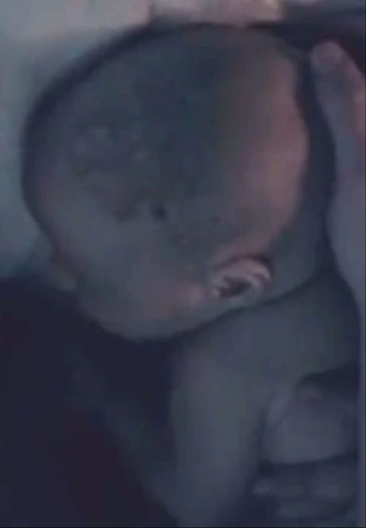 Nobebes