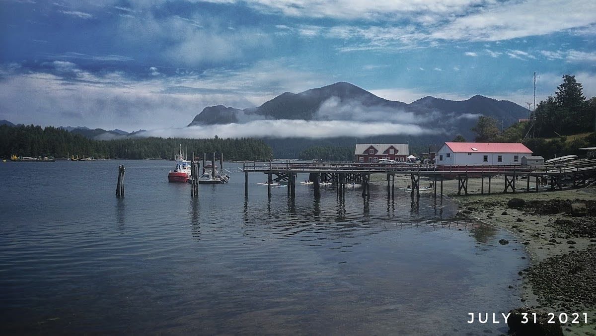Tofino