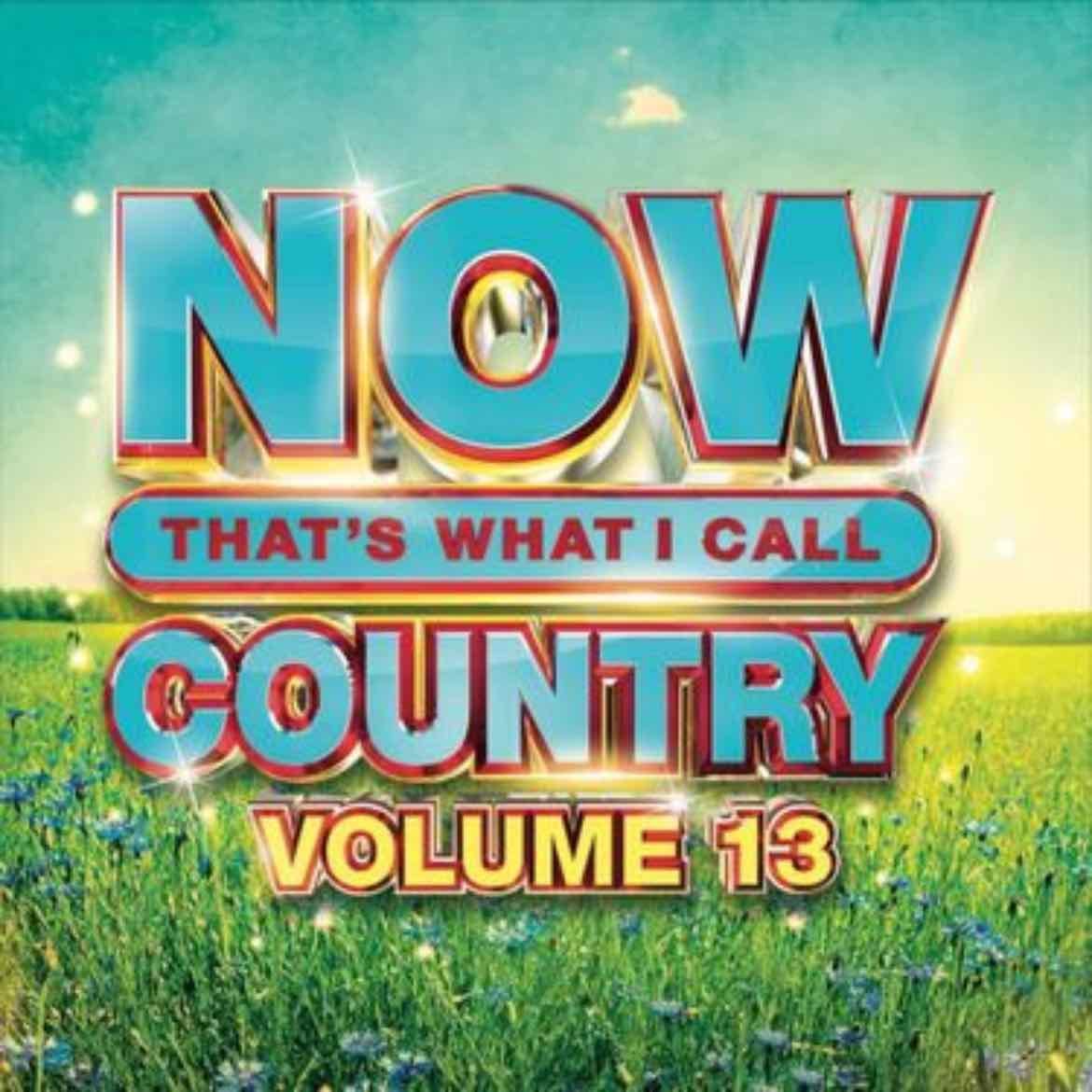 Now That What I Call Country Music: Volume 13