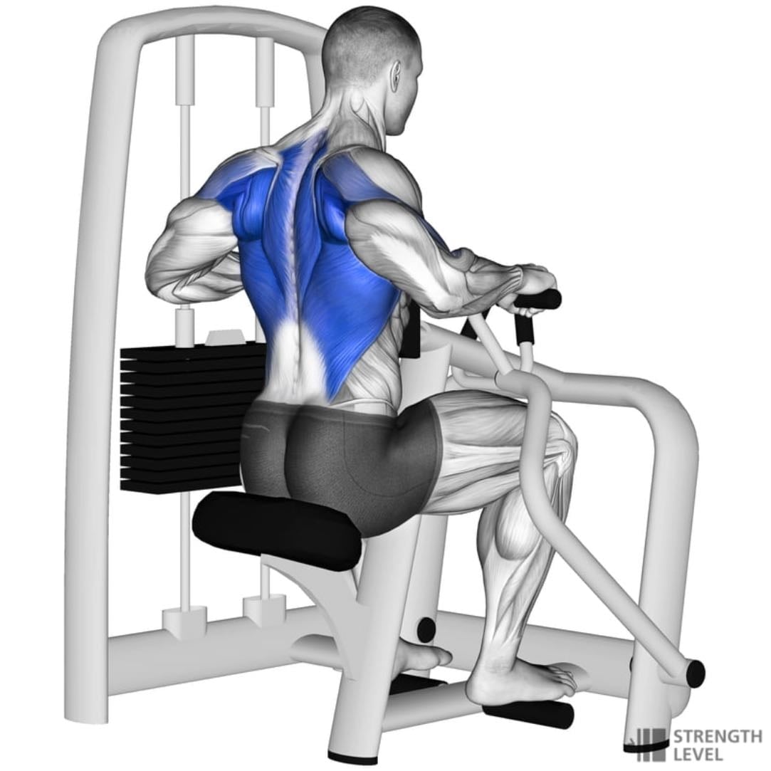 Seated Cable Row