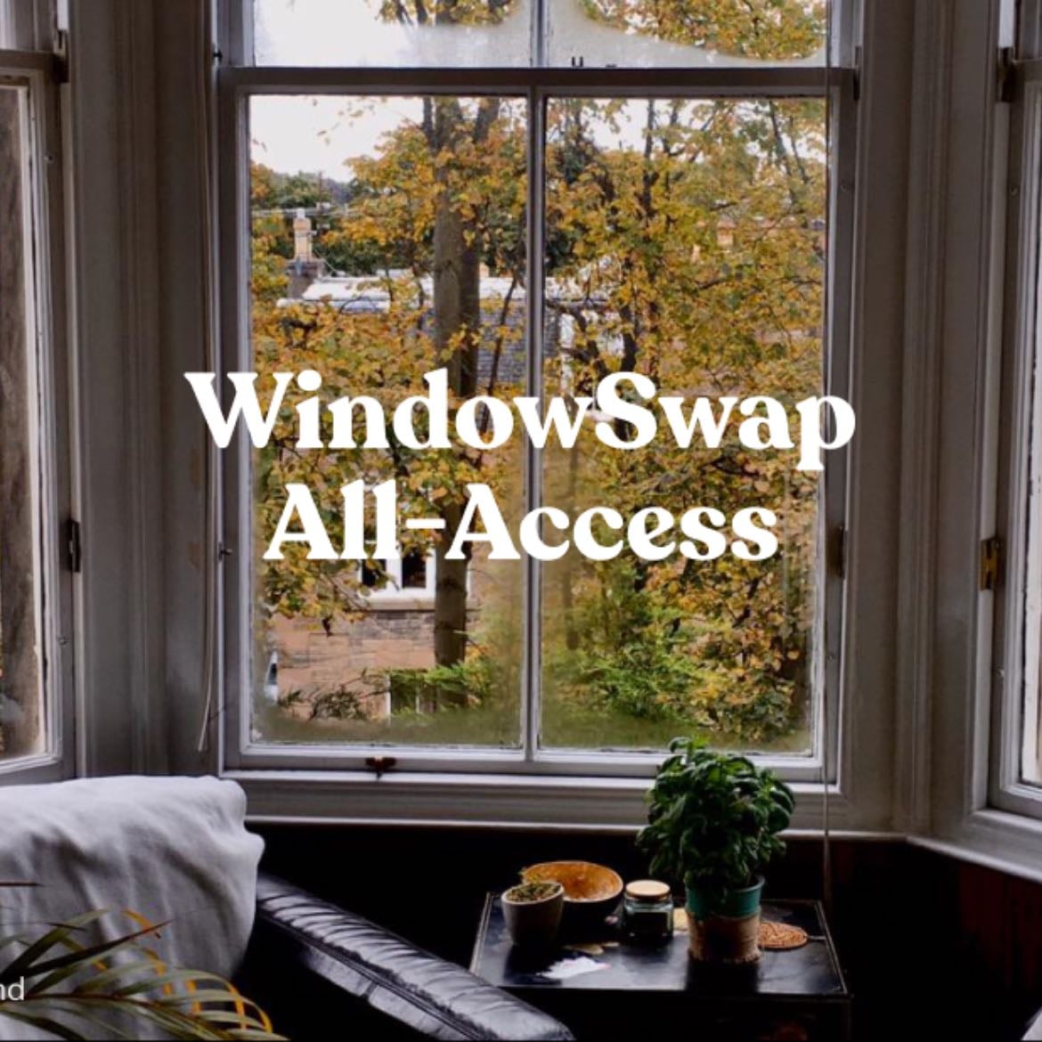 WindowSwap - the calmest place on the internet