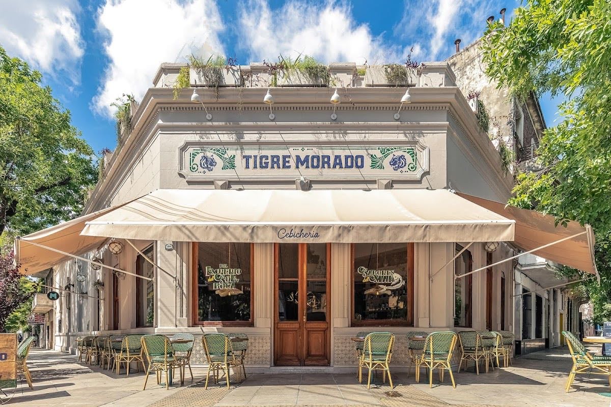 Tigre Morado