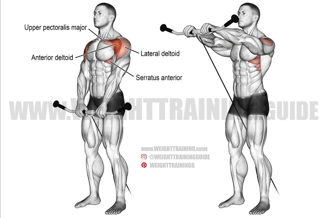 Cable Front Raise