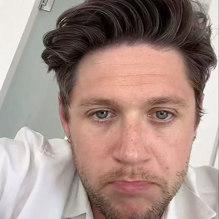 Niall Horan 🇮🇪 - I first heard him in one direction when I was little in like 2013 or 14 and I have loved him ever since. He has always been my fav member