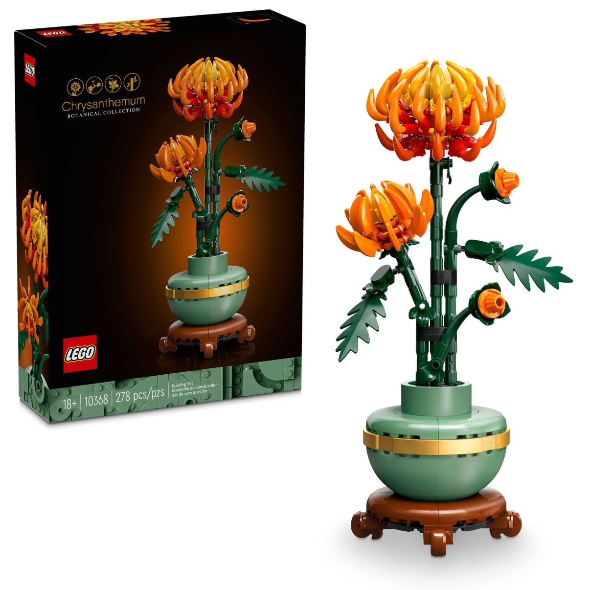 chrysanthemum