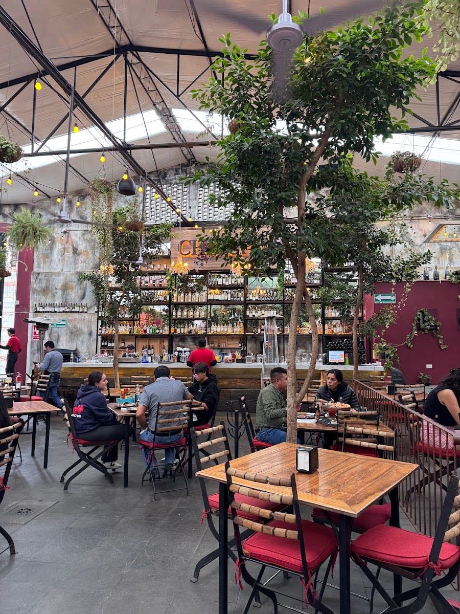 Terraza Prissa