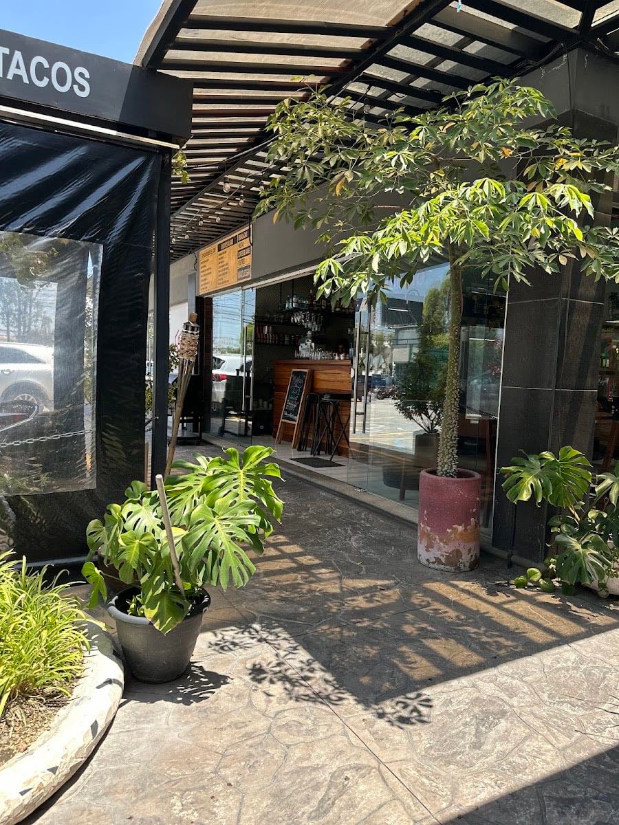 Alamo Negro Pizzería