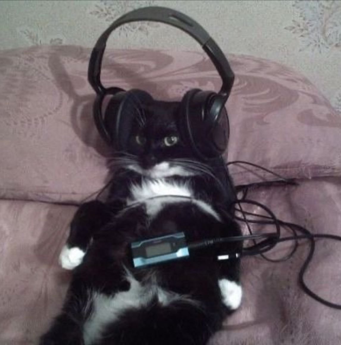 music