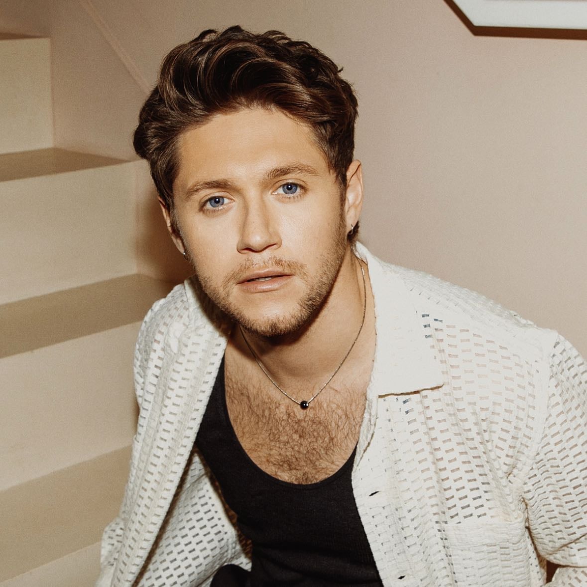 Meet Niall - Obv never gonna happen but maybe ill find myself in London or LA🤷♀️