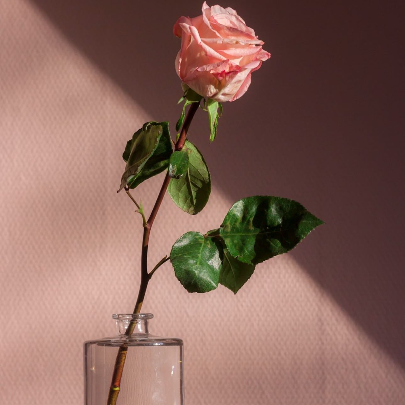 romanticize your life
