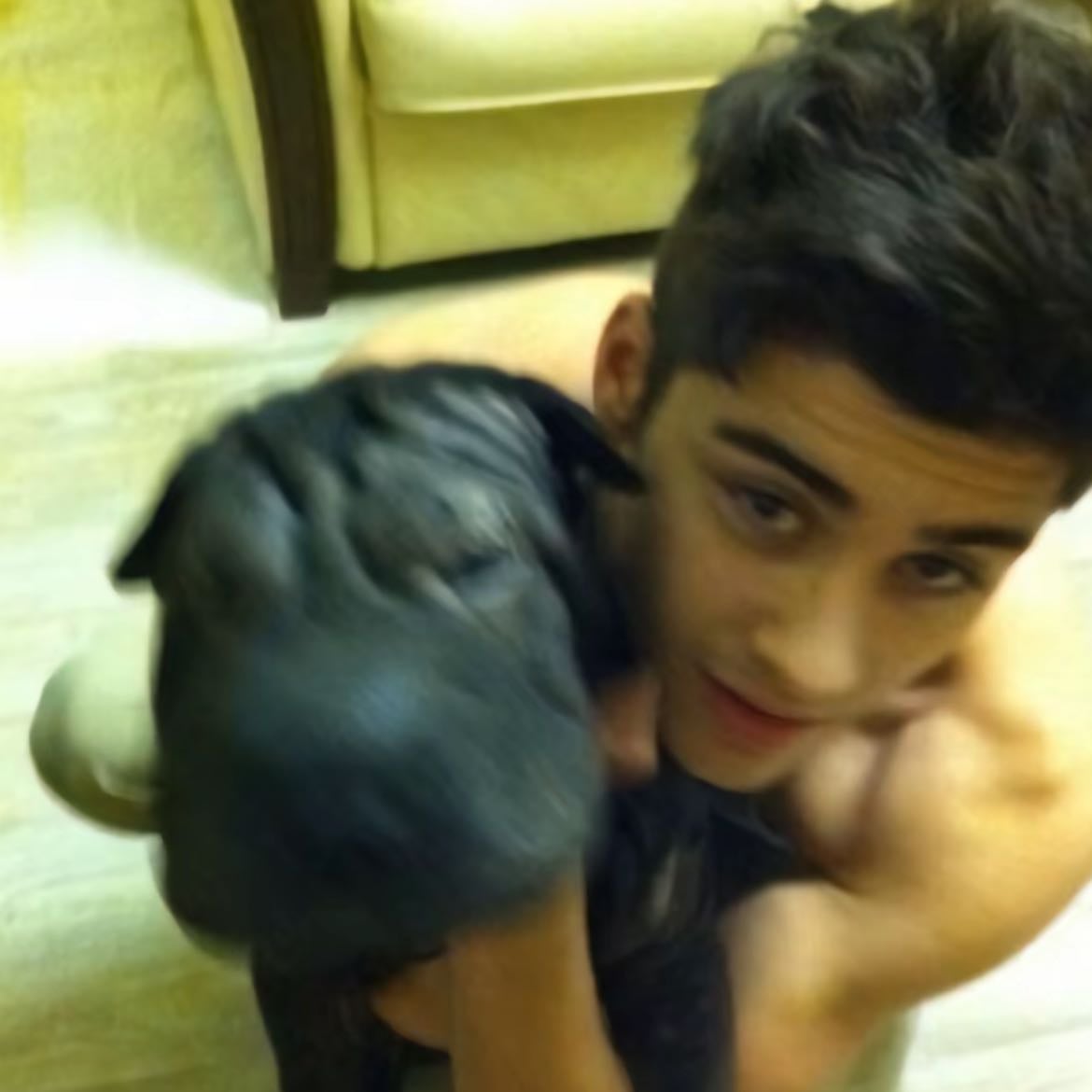 zaynvv3