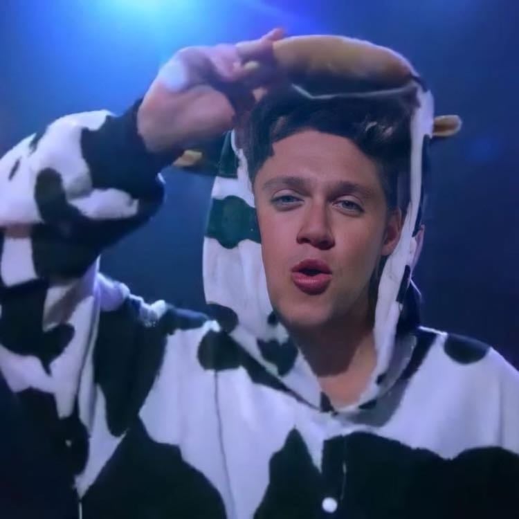 Nialls being a cow with james corden