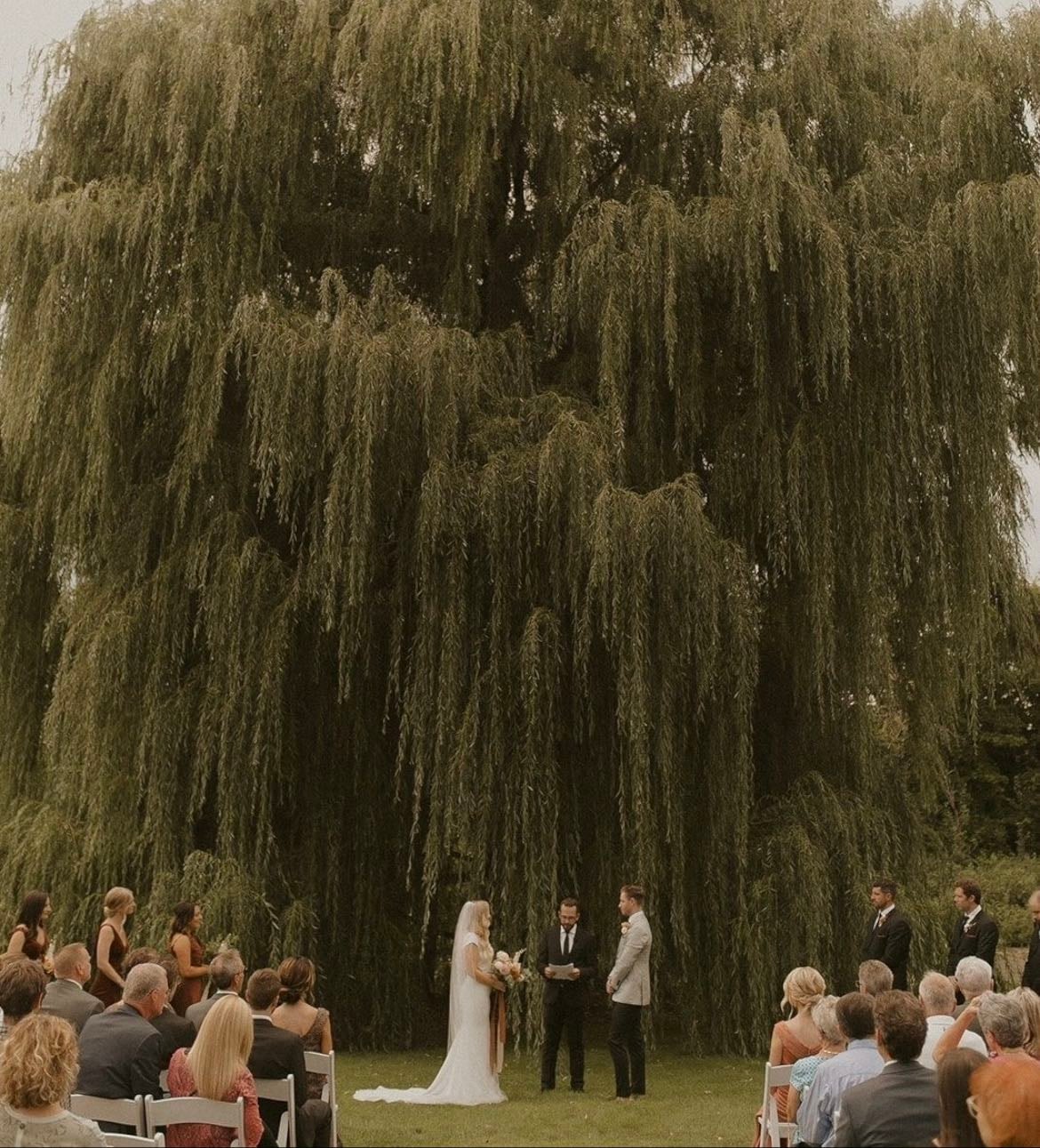 wedding ᥫ᭡
